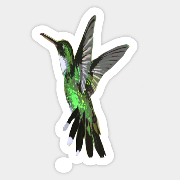 Humming bird Sticker by TriForceDesign